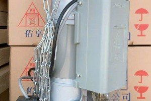 Motor YH CN Đài Loan 300kg